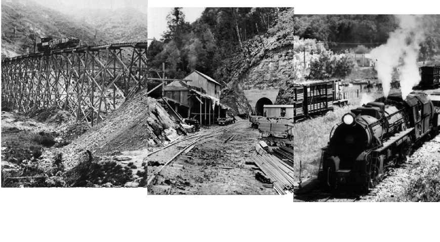 Historical photos of the Forgotten World Railway