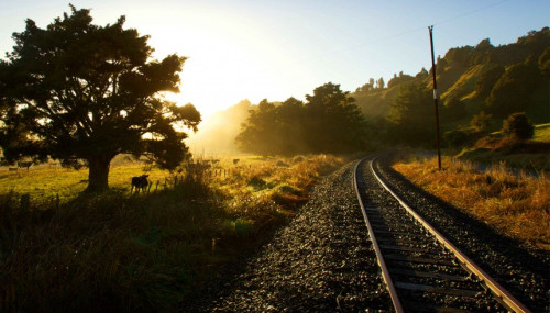Forgotten World Rail line in Morning sun FocusFillWzg2MCw0OTAsInkiLDI3XQ